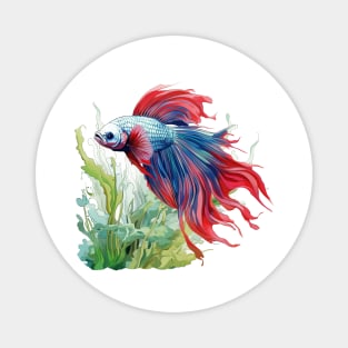 Betta Fish Magnet